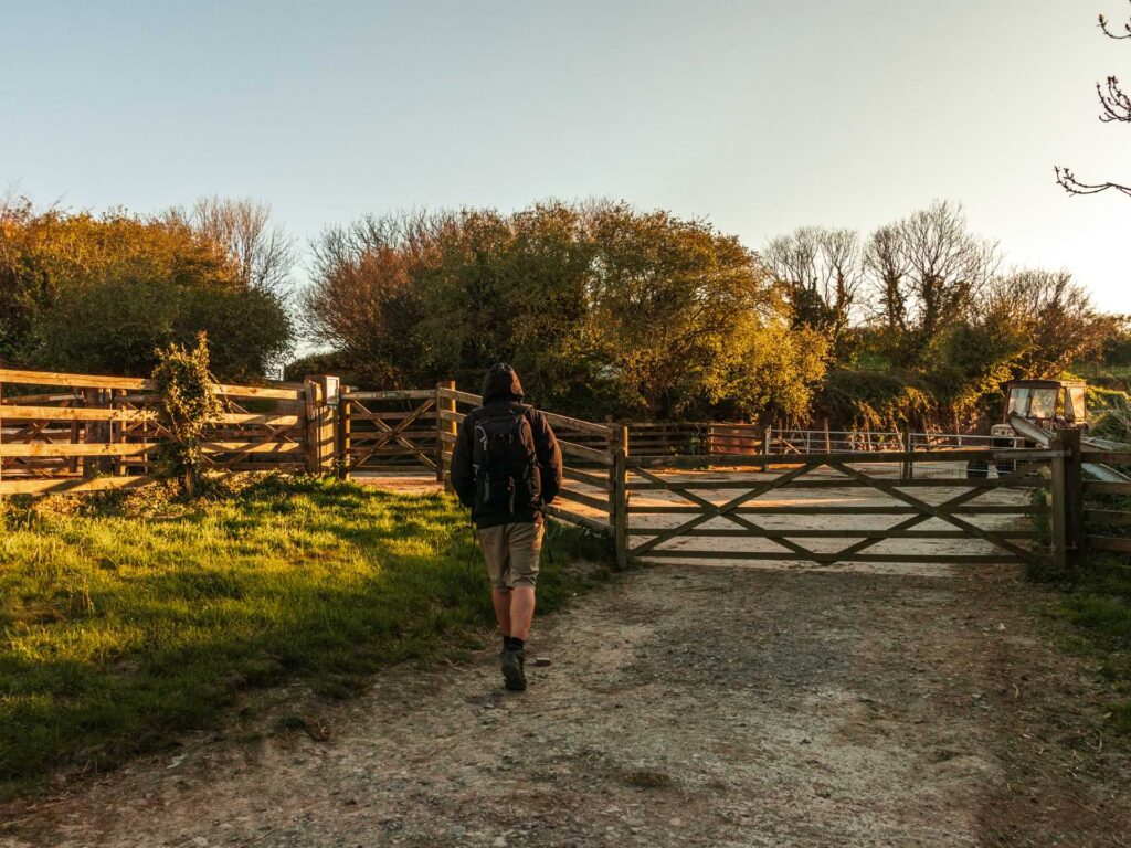 Oliver walking towards a wooden gate and fence.