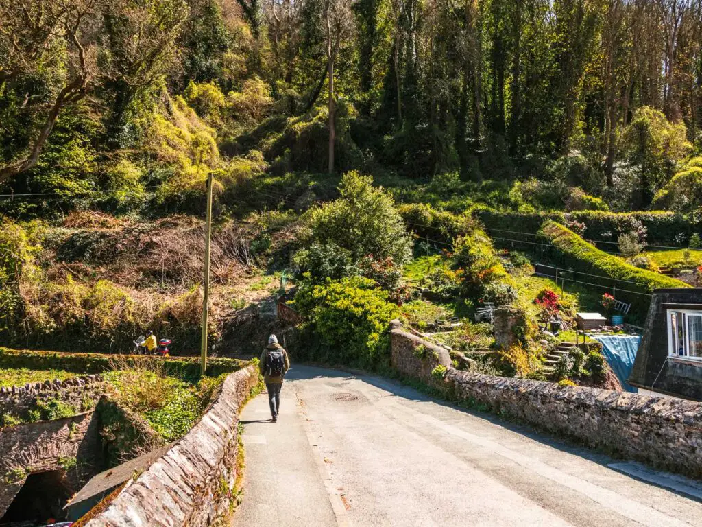 A man walking along the road which is surrounded by bright greenery.