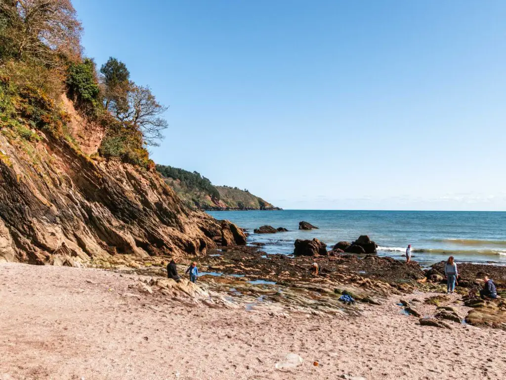 The sandy beach of Sugary Cove in Dartmouth. There is a cliff on the left side of the beach and a few people walking around.