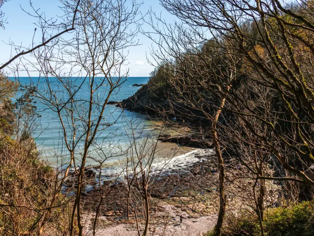 Looking through the leafless tree branches down to a secluded beach cove. 