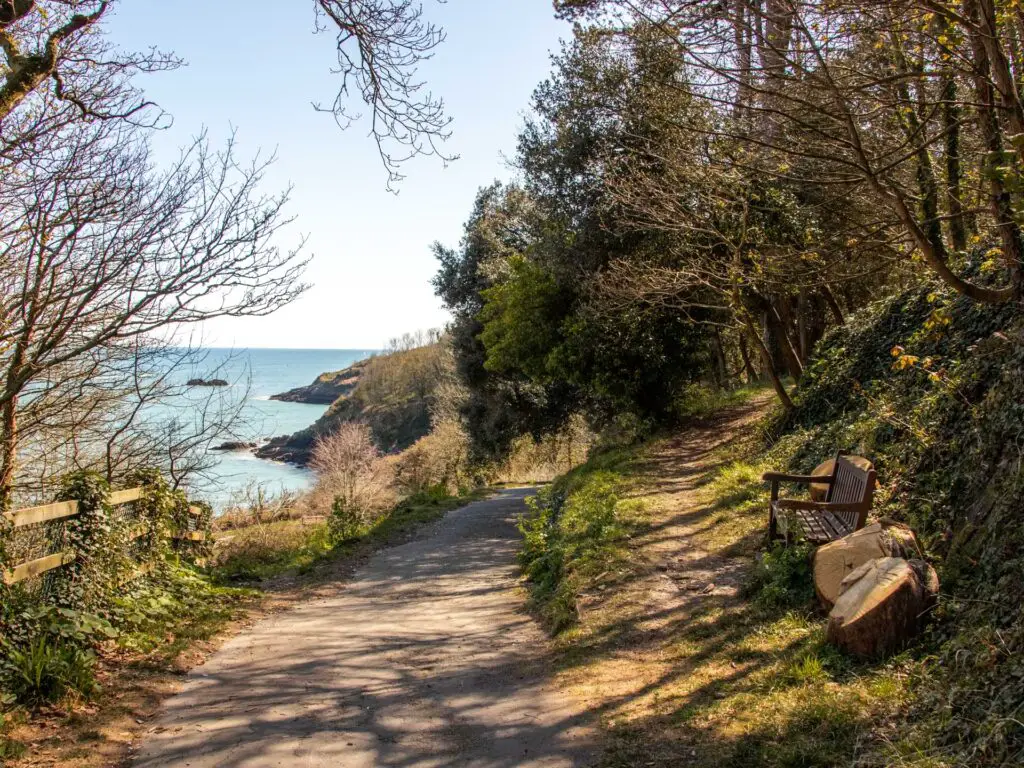 A path with a dirt trail leading off it to the right. There is a bench on the right trail. The rugged coastline is visible in the distance. 