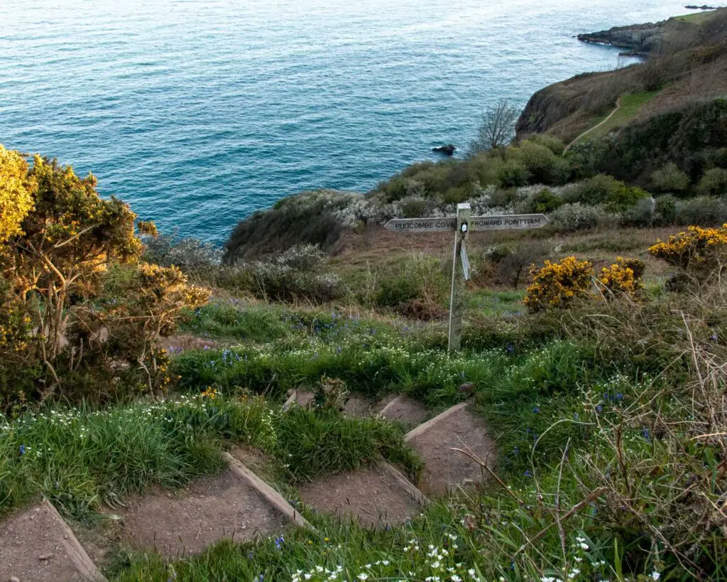 Steps on a hill surrounded by green grass and bushes. The hill leads down to the blue sea. There is. wooden signpost on there steps.