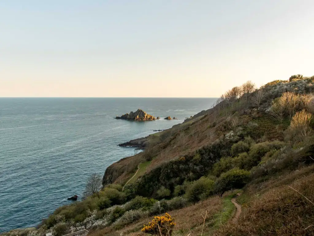 Looking back at the green grassy, bushy cliffside as it meets the blue sea on the hike near Dartmouth.