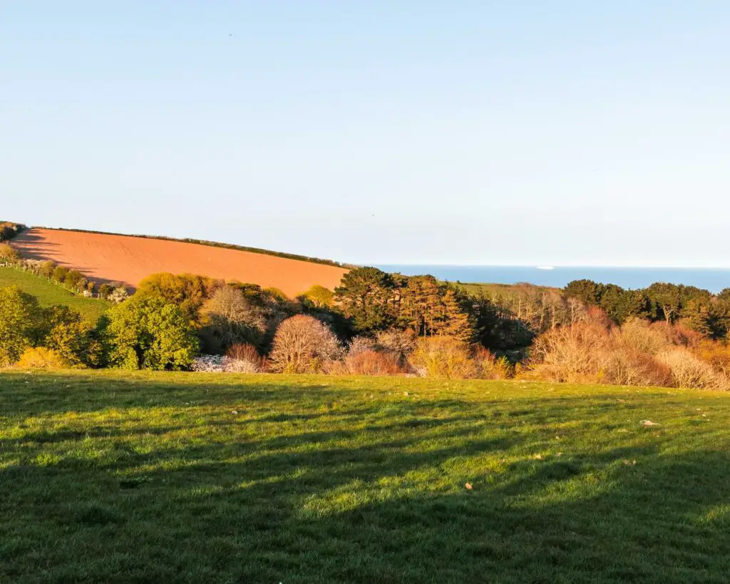 A green field leading to an orange coloured field with the blue sea in the background.