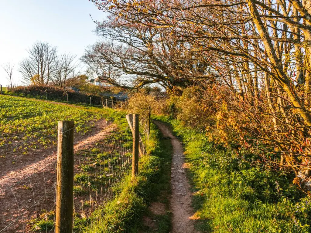 A narrow dirt trail with grass in either side. There is a wire fence on the left side of the trail.