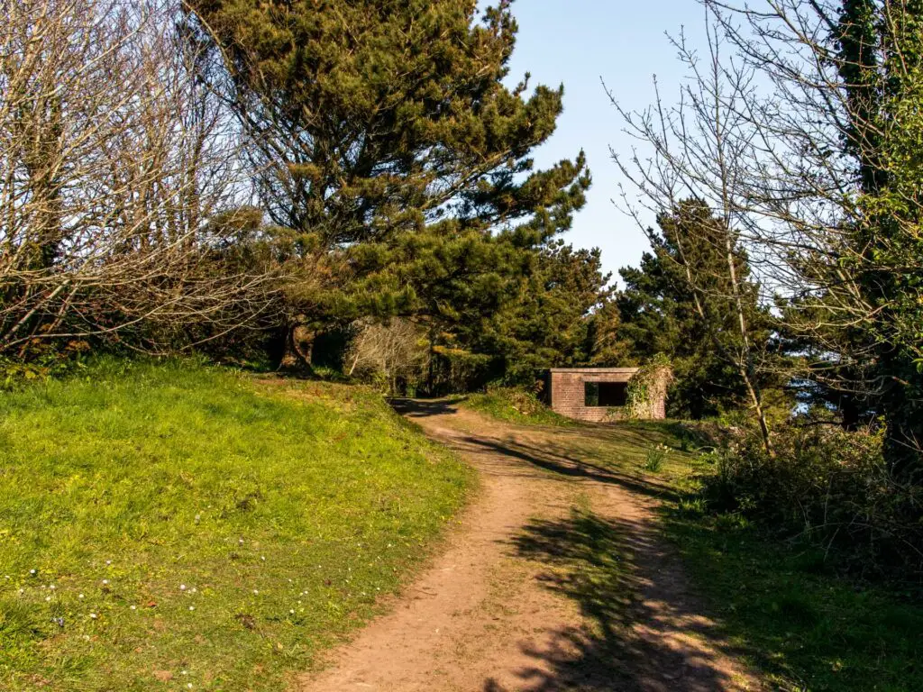 A dirt trail leading to a food surrounded by trees.