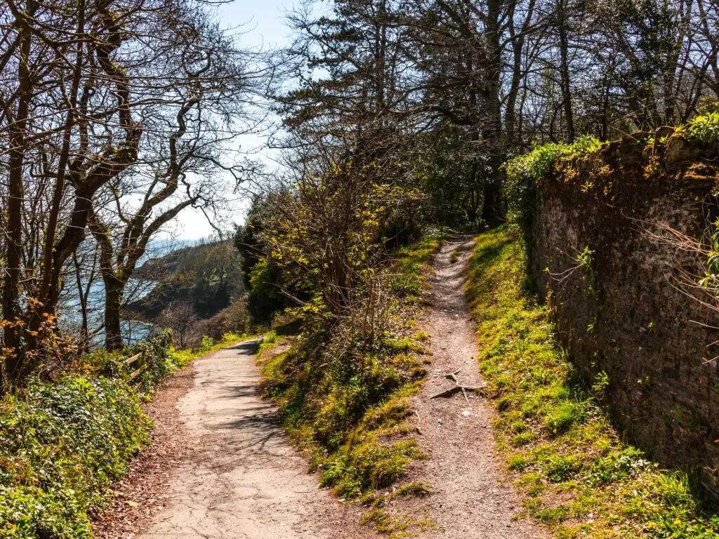 A walking trail split in two surrounded by greenery. The coastline is just visible in the distance.