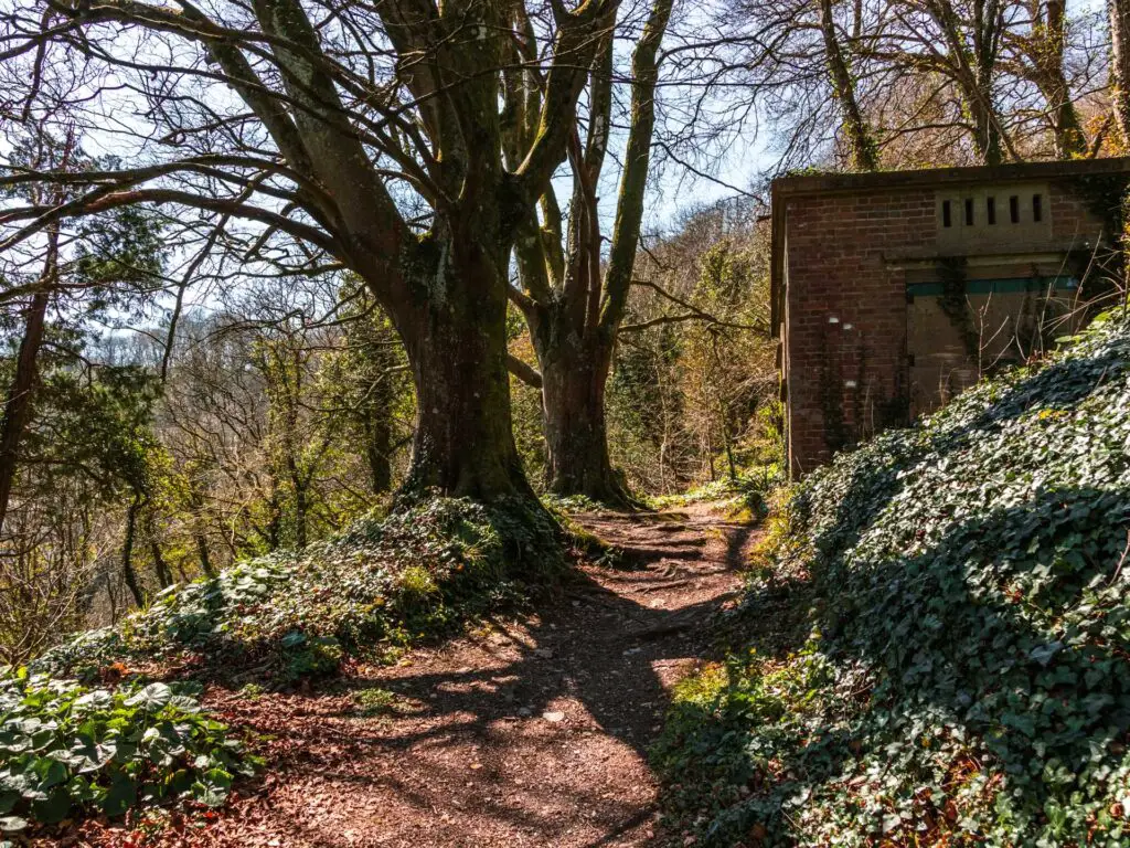 The dirt trail leading uphill surrounded by greenery and trees. There is a brick building on the right side of the trail.