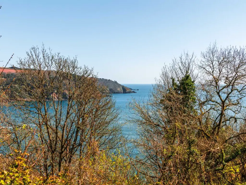 The blue sea and peninsula visible through all the shrubbery on the coastal walk to Little Dartmouth.