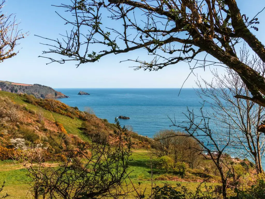 A view across the hilly green land as it leads into the blue sea on the coastal walk to Little Dartmouth.