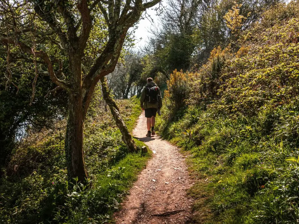 A man walking on a dirt trail through the trees. There is green grass on both sides of the trail.