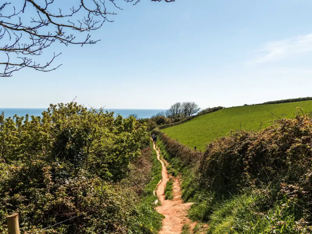 The long thin coast path walking trail with a green field to the right and green bushes to the left. The blue sea is visible in the distance.