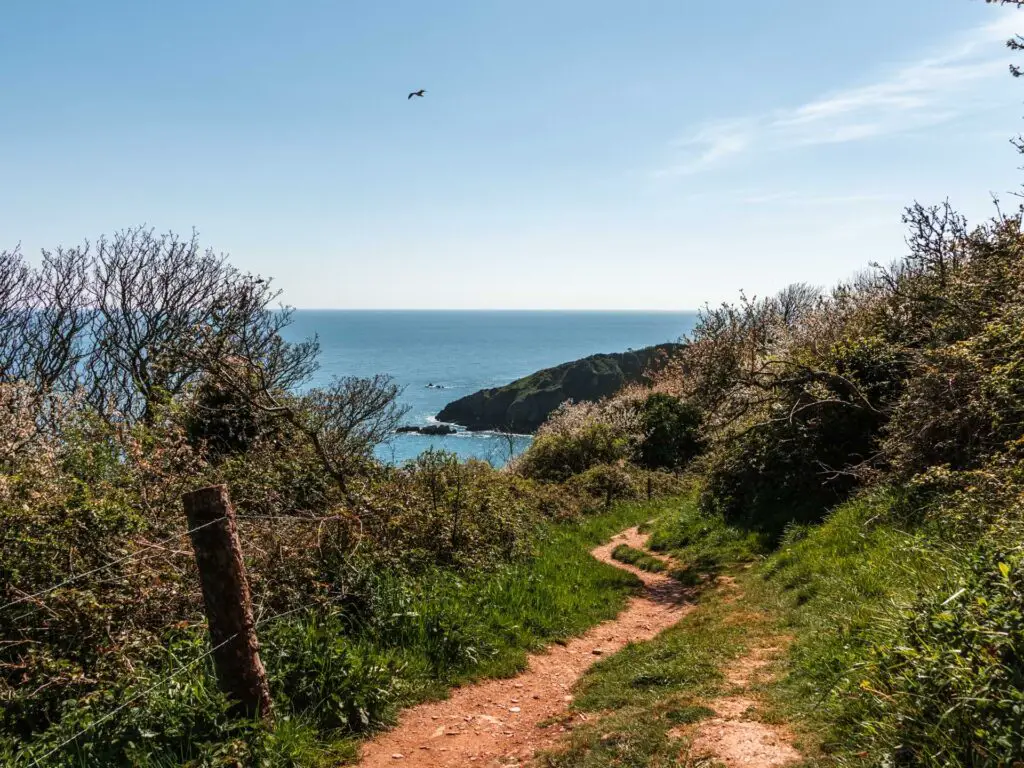 The coastal path dirt trail winding downhill though the grass and bushes on the walk to Little Dartmouth. There is a cliff peninsula visible in the distance.