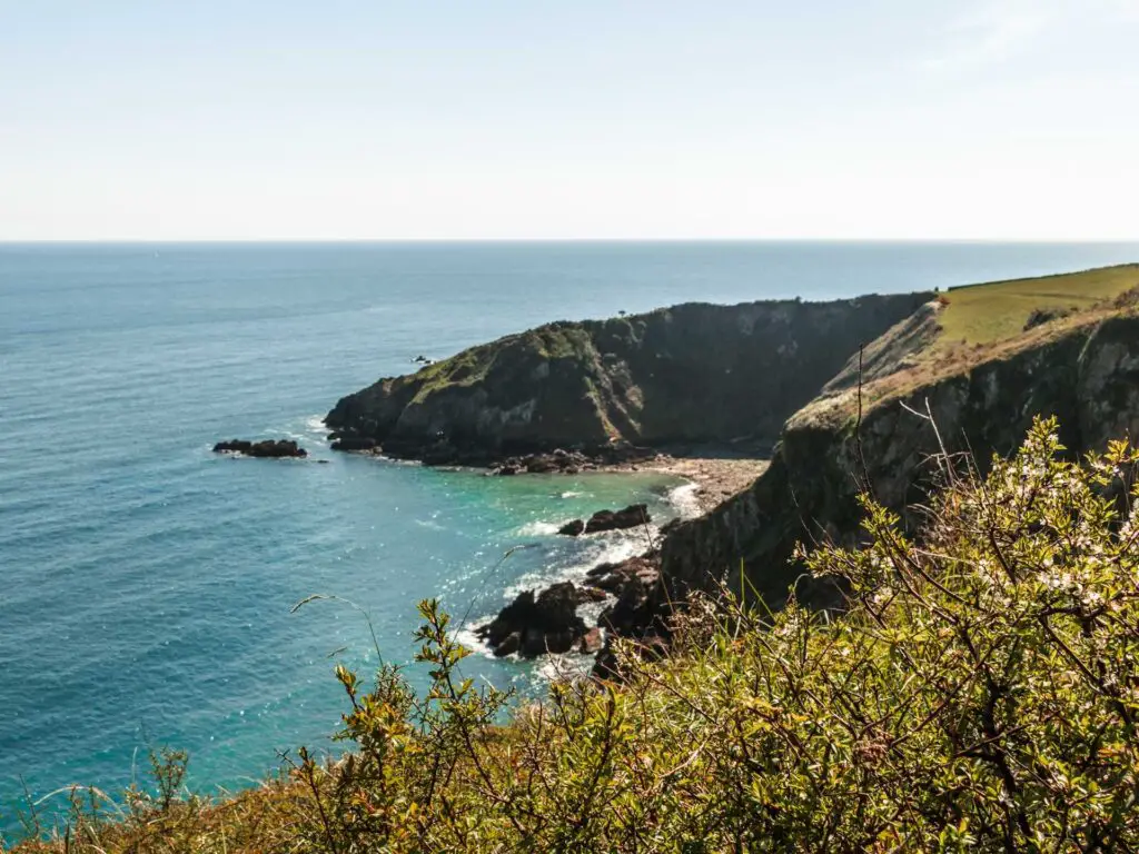 A view down to the cliff coastline on the coastal path walk to Little Dartmouth. There is shrubbery at the front of the frame. There is a beach cove just about visible in the cliff.