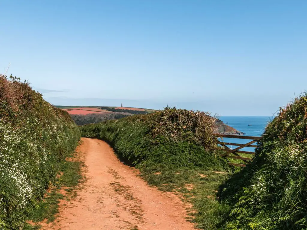 The trail leading through the green hedges with a hill with orange fields in the background and the blue sea on the right.