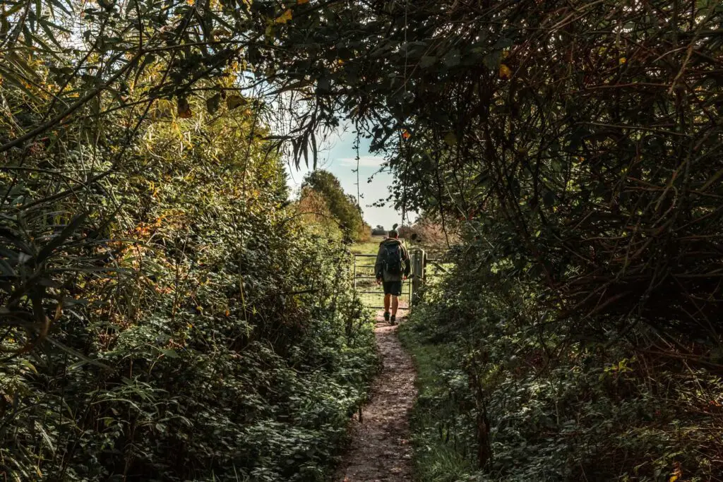 Oliver walking on a narrow dirt trail through the green bushes and trees.