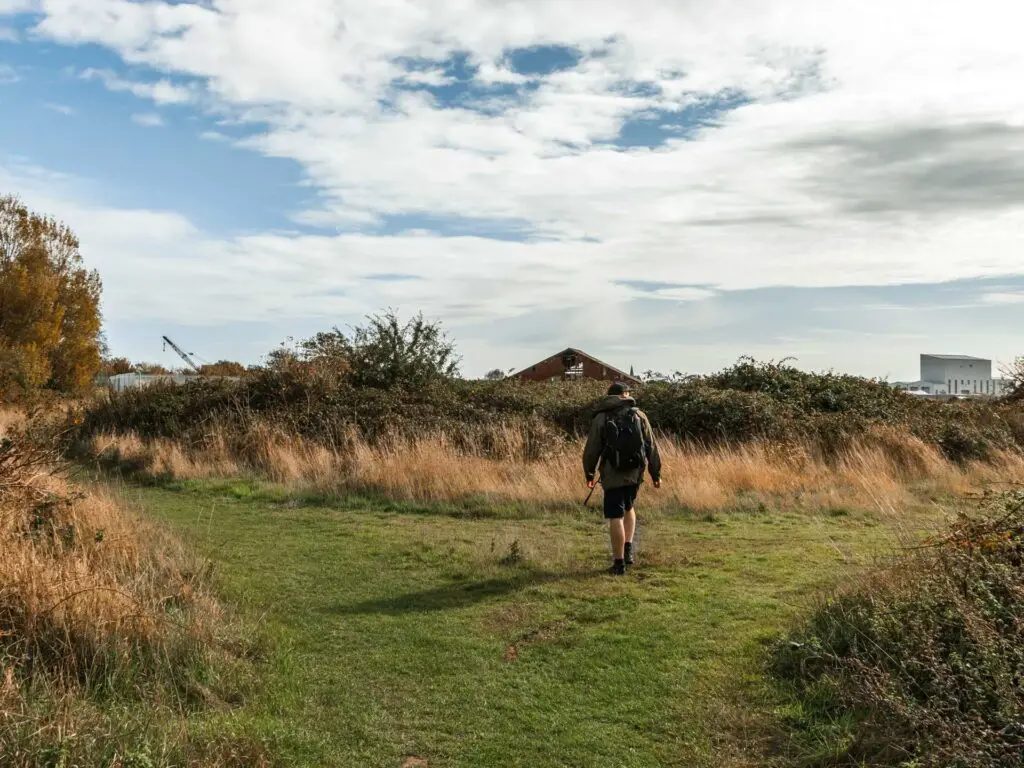 Oliver walking on the green grass trail as it splits in two.