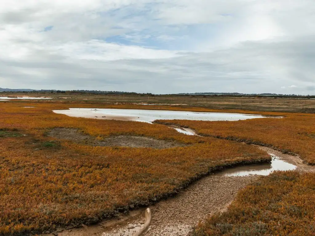 The Rye Nature reserve view form the hut.