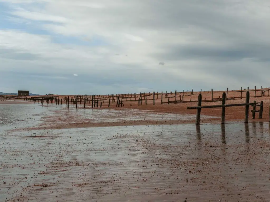 The sea bed near Rye.