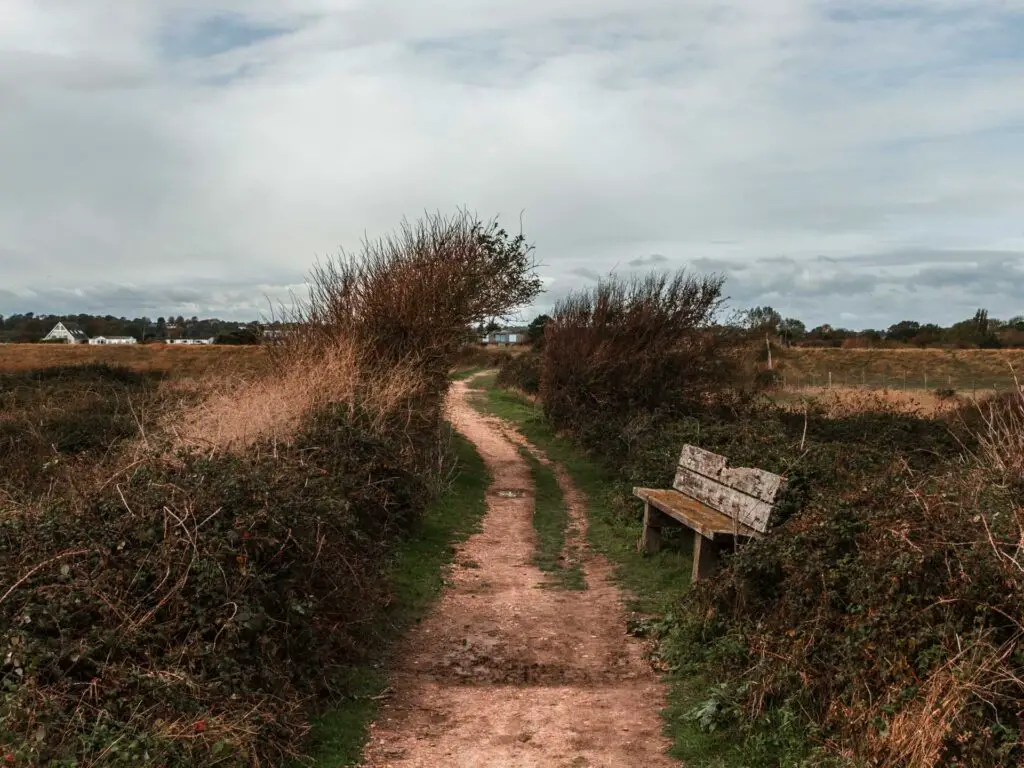 A dirt trail with bushes on either side and a wooden bench on the right.