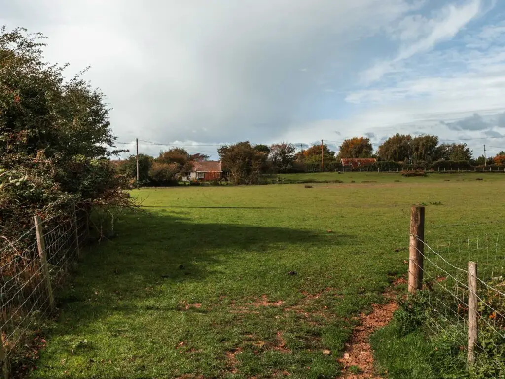 A big green grass field. There are some buildings on the other side.