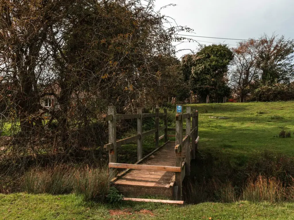 A wooden bridge between two green grass fields. There is a bush type tree to the left of the bridge.