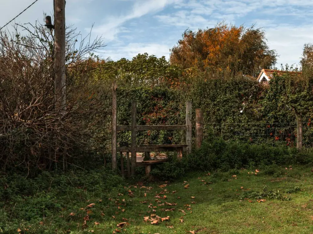 A wooden stile leading out of the green grass field onto the road. There is a hedge on the other side of the road.