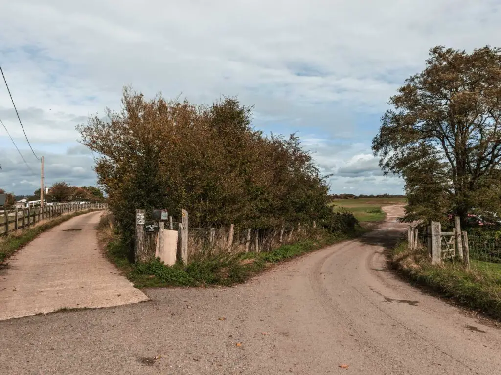 The path/road as it splits into. they are separated by a big bush.