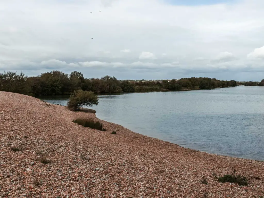 A blue lake surrounded by shingle and green bushes and trees on the Rye to Camber Castle walk.