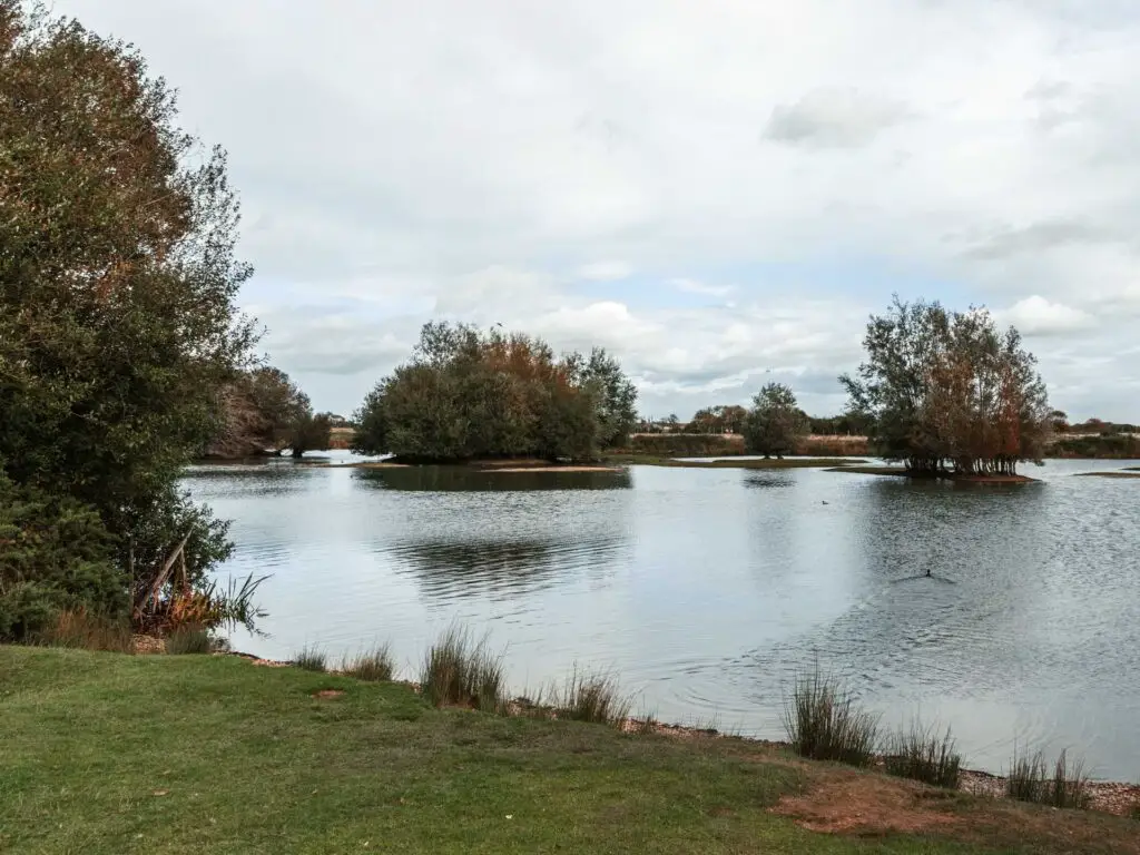A lake with a few tree islands on the Walk near Rye.