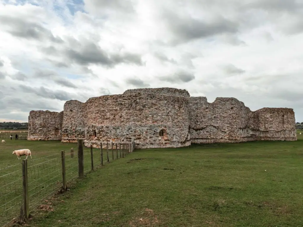 Camber Castle on the other side of the green grass field on the walk from Rye. There is a fence leading up to the castle and sheep on the other side of the fence.