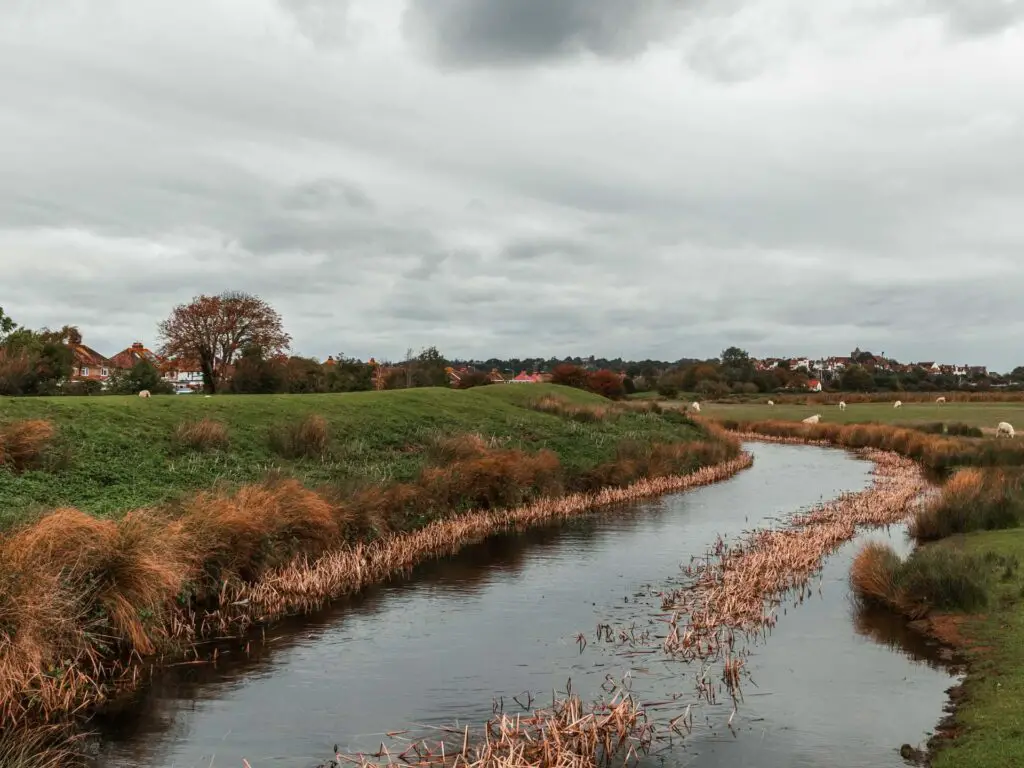 A small river stream running through the field. There is shrubbery and grass fields on both side of the water.