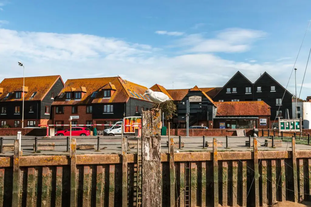 A seagull on a wooden post with black buildings in the background of Rye Town.