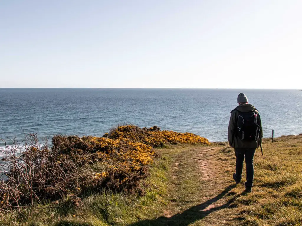 A man walking on the grassy coast path with the blue sea up ahead.