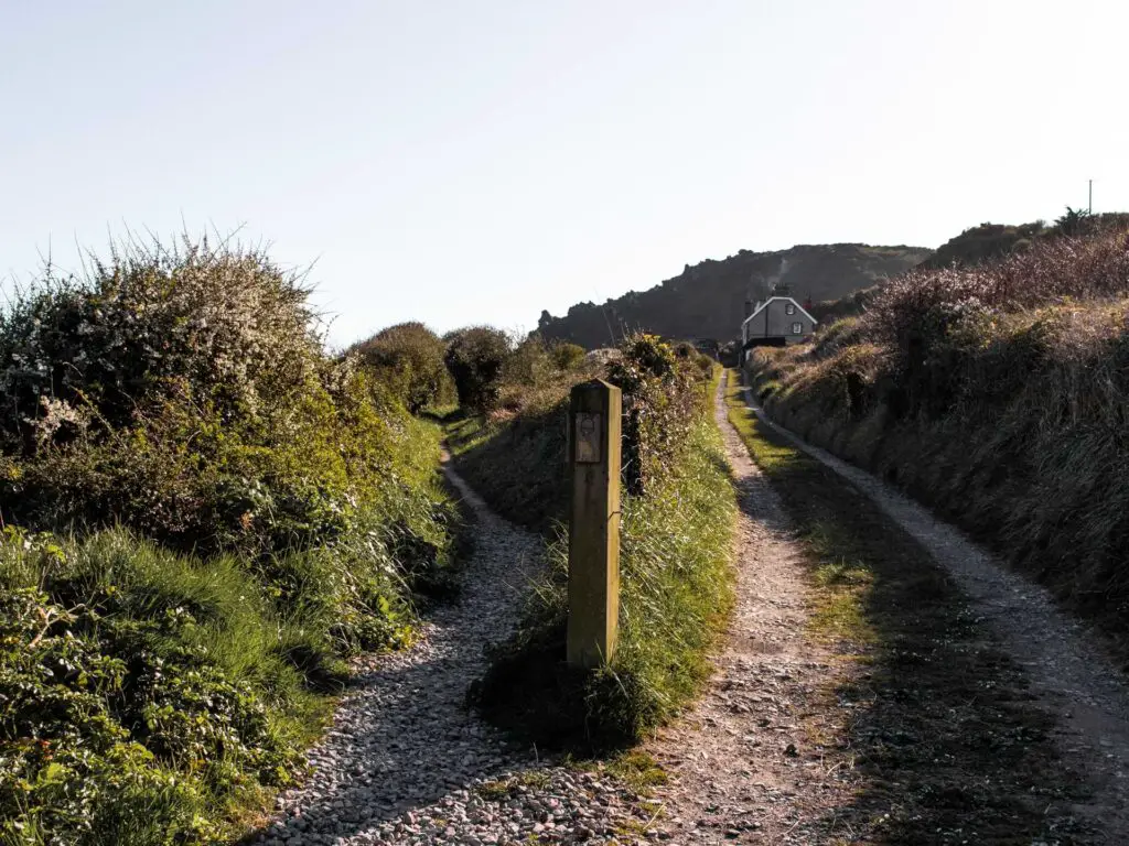 A gravel trail as it splits in two. Separated by green grass and a wooden stump signpost on the corner of the split.