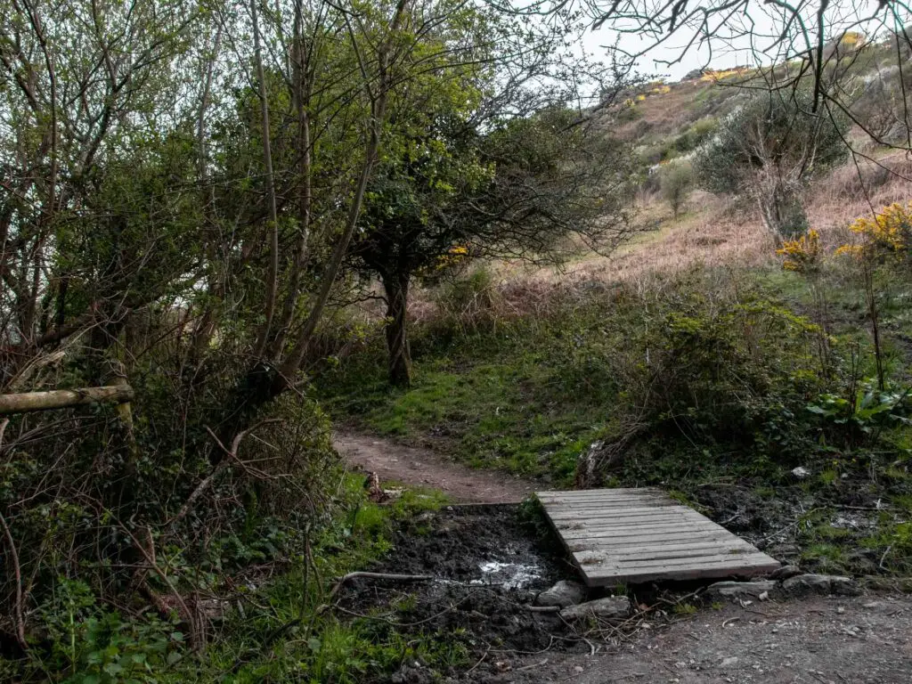 A dirt trail with a wooden plank as a makeshift bridge over the mud. The trial is surrounded by some trees.