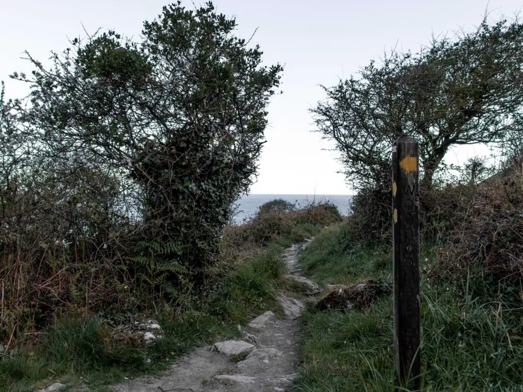 The dirt trail with a few rocks as it leads through some green bushes and grass. There is a wooden stump signpost with yellow arrows.