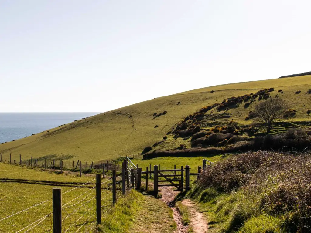 The trail running downhill through the grass and a green grassy hill up ahead. The blue sea is visible to the left.