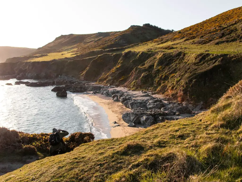 A view down to the sandy beach on the Start Point lighthouse walk. There are big grey rocks on the beach. the beach is enclosed by jagged grass covered cliffs.