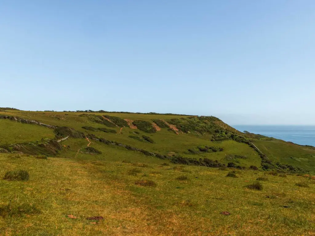 Undulating landscape covered in green grass and a few bushes.