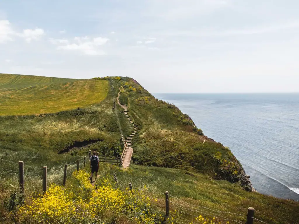 A hill with a bridge leading to it and steps leading up on the edge of the cliff.