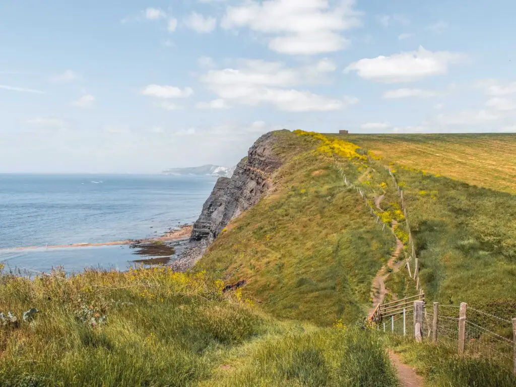 Tall grass and a hill with a trail going ip it next to the cliff side leading to the sea.