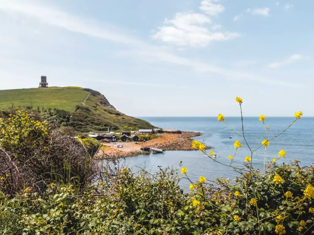 Looking through the bushes and yellow flowers to Kimmeridge Bay and a big hill behind that on the coastal walk towards Kingston in Dorset. Clavell tower is on top of the hill.