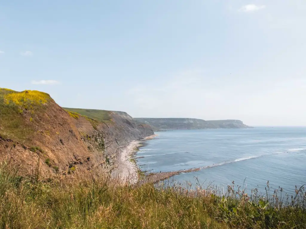 A view over the tall grass and along the cliff coastline in Dorset.