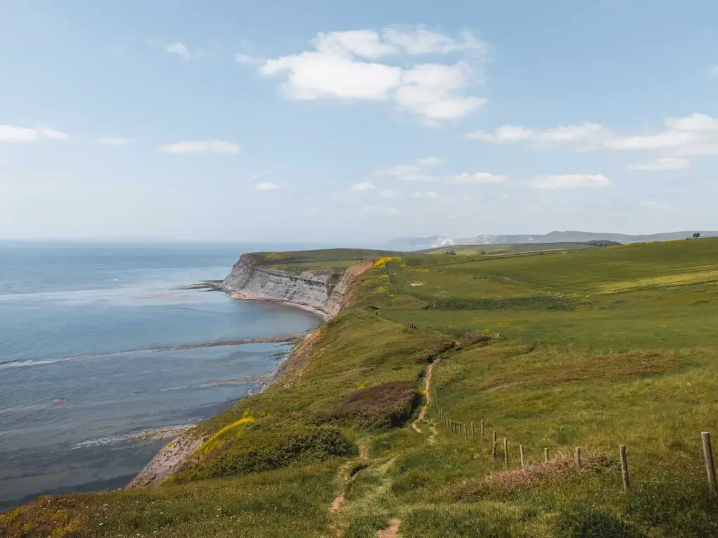 A view along the coastline with the green hill top leading to the cliffs and down to the sea. There is a walking trail running along the grass.