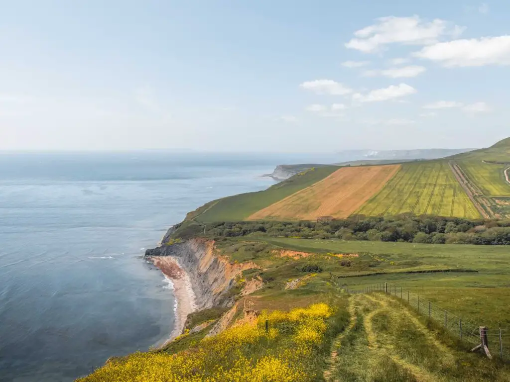 A view down the green grass landscape and coastline on the walk from Kimmeridge to Kingston,