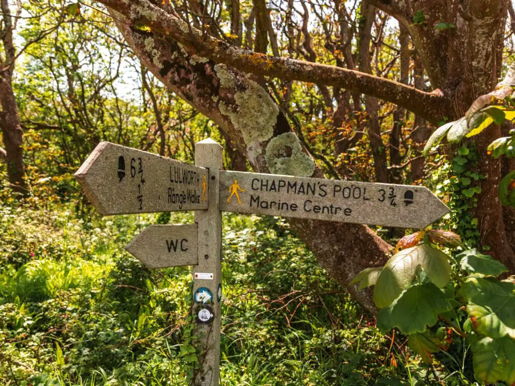 A wooden signpost in front of bushes and trees. The signpost points to Chapmans pool and Lulworth with a picture of a walking man.