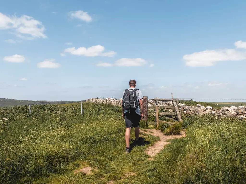 A man walking towards a wooden gate between tall green grass and a stone wall.