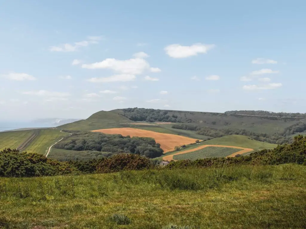 A grass field leading down to a valley with orange and green fields and clusters of trees.