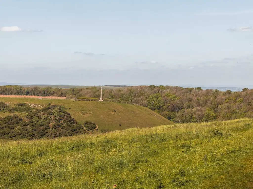 Grass fields and hills with woodland on the other side.